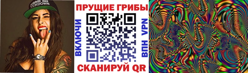 Купить закладки Куртамыш Псилоцибиновые грибы прущие грибы